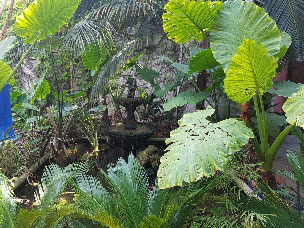 The Green House *
