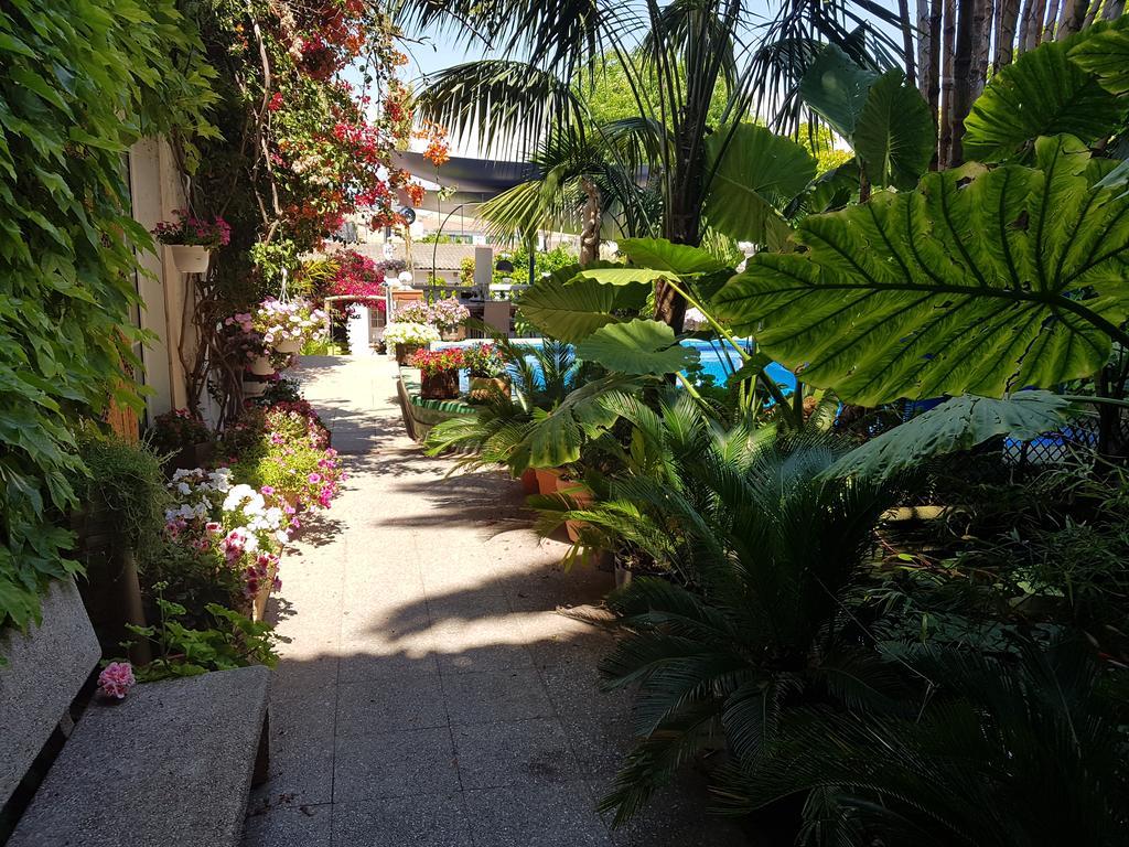 The Green House
