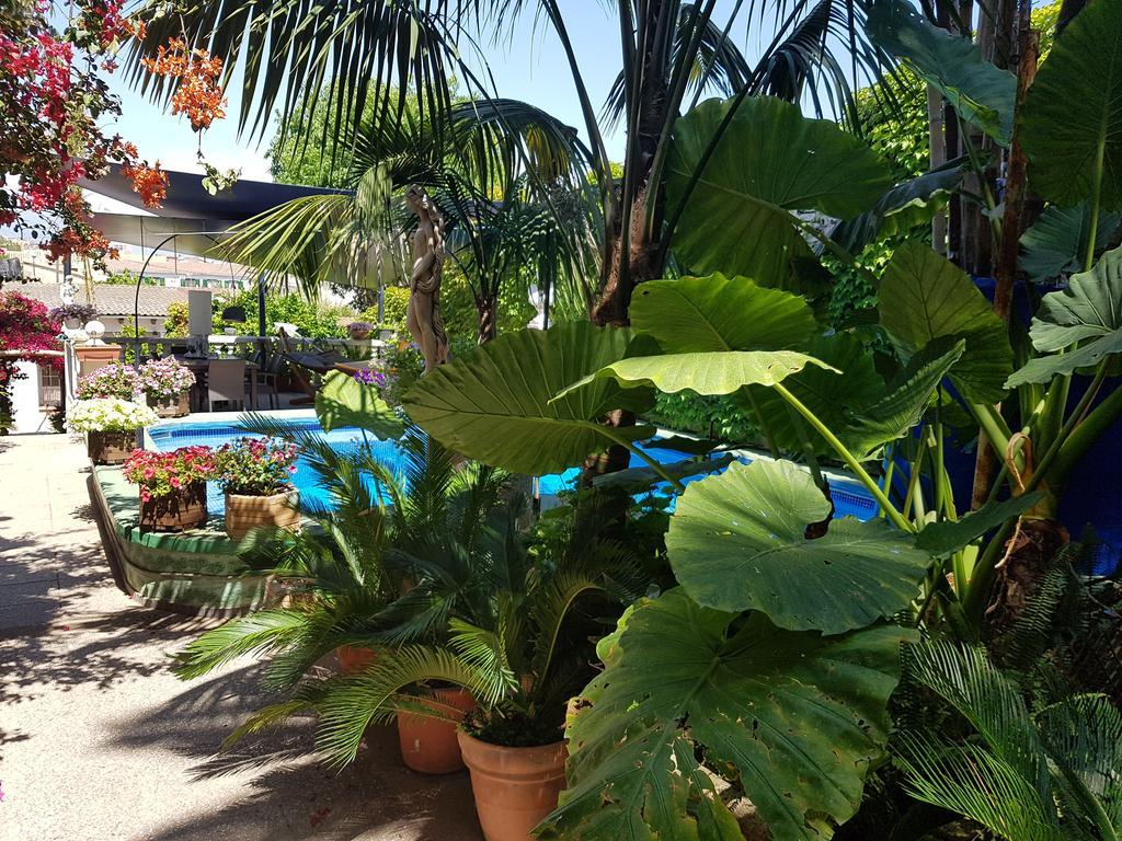 The Green House - Adults Only Appartement *