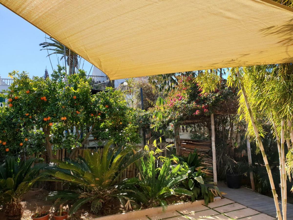 The Green House