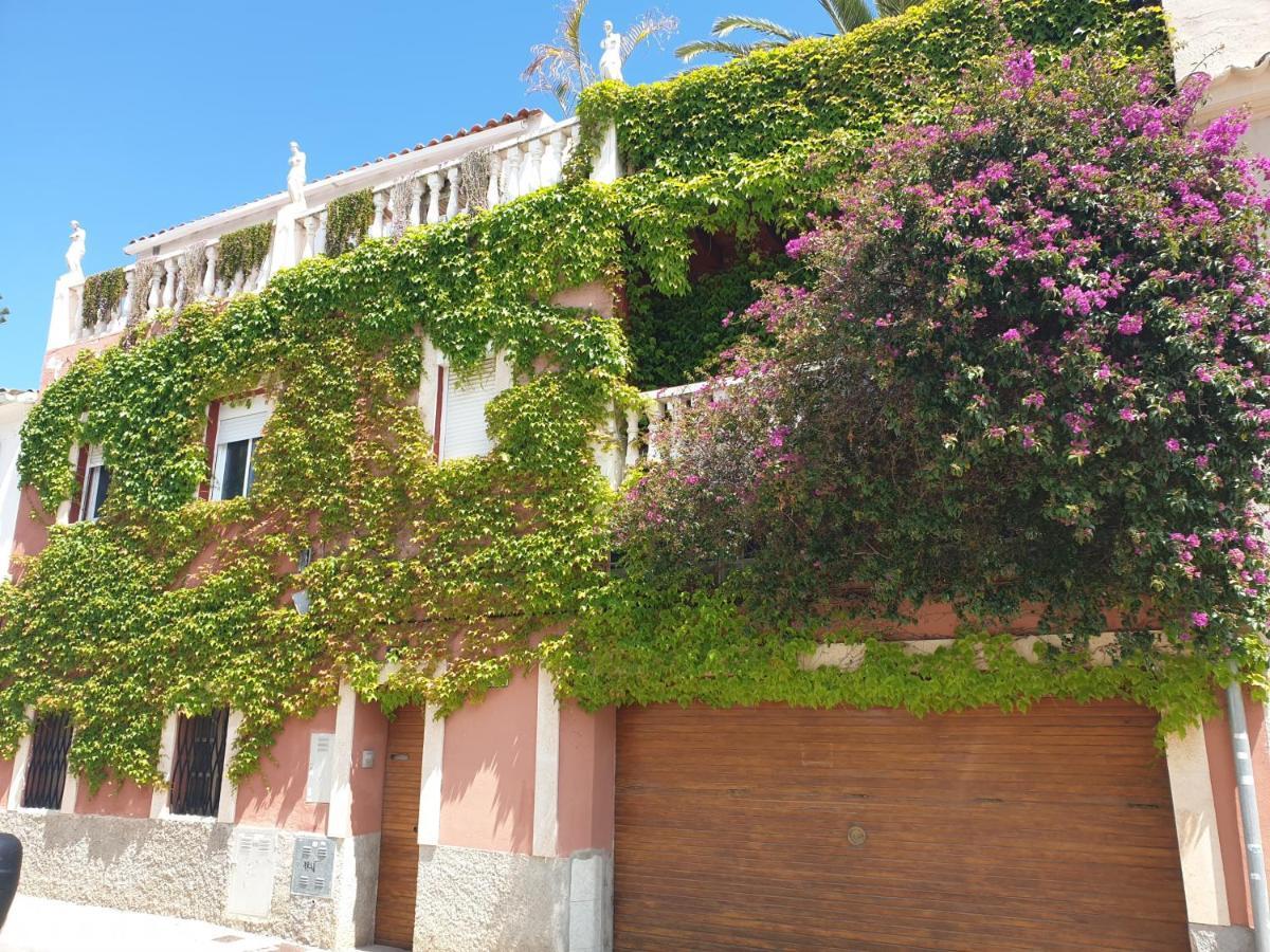 The Green House