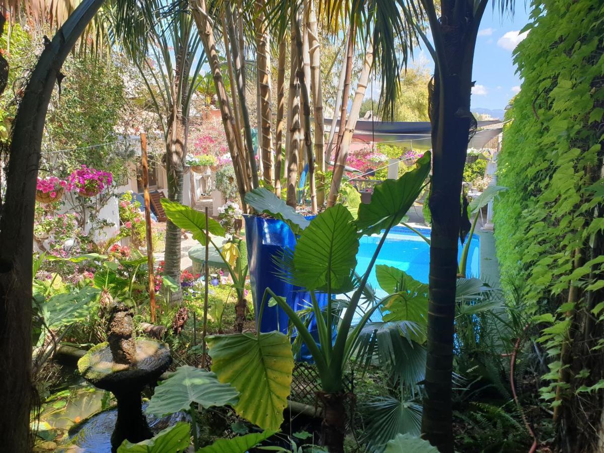 The Green House - Adults Only Palma de Mallorca